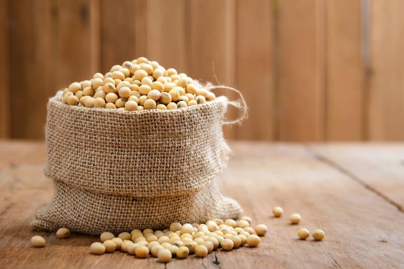 soy beans sack healthy fat