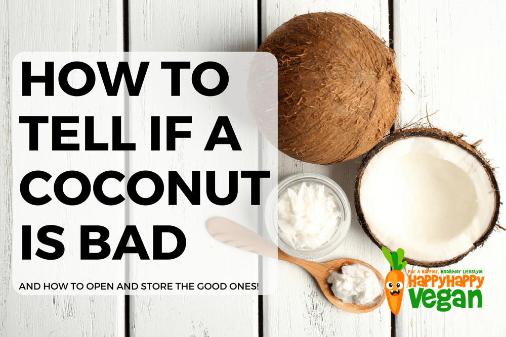 How To Tell If A Coconut Is Bad And How To Open And Store Good Ones