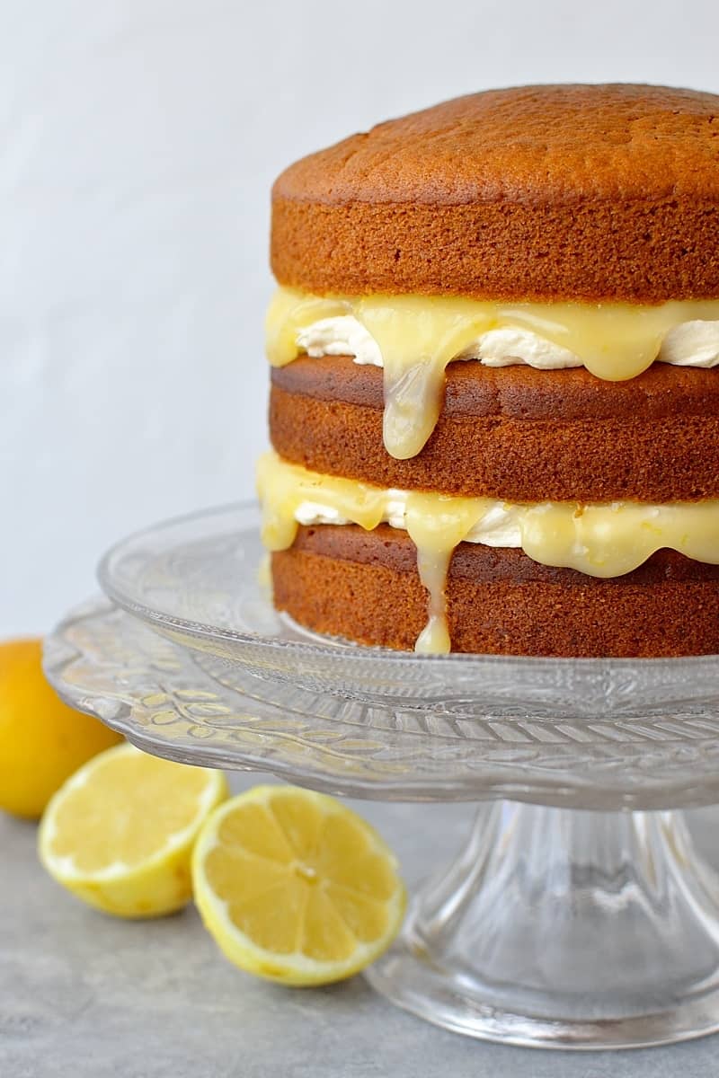 19 Amazing Vegan Cake Recipes To Inspire And Delight Family And